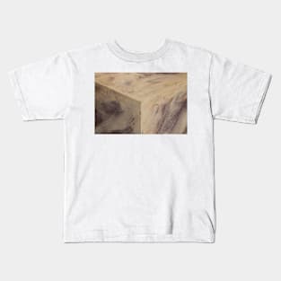 PaintedIntoACorner Kids T-Shirt